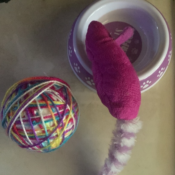 HOST PICK Bundle of Cozy comfortable very small kitten cat bed plus 3 items - Picture 11 of 12